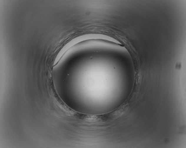 X0000111920521200907271252