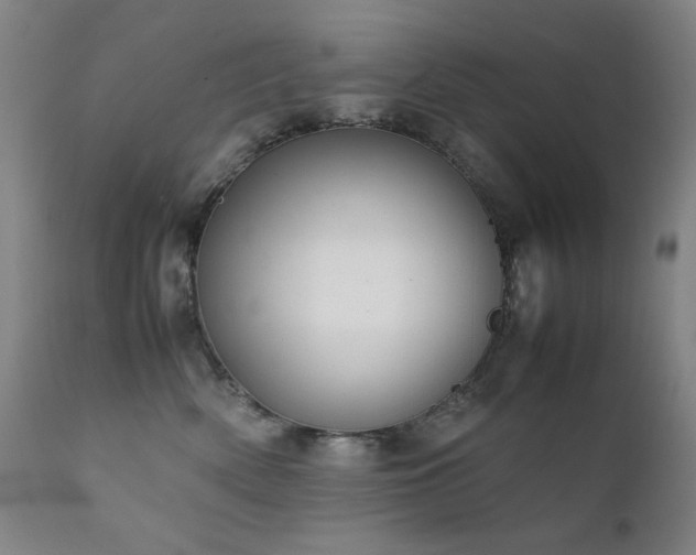 X0000111920522200907271252