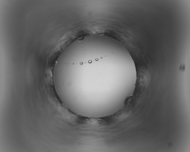 X0000111920523200907271252