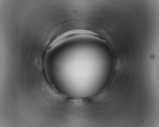 X0000111920524200907271252