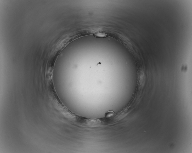 X0000111920525200907271252