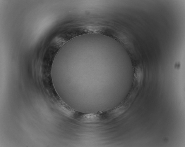 X0000111920526200907271252