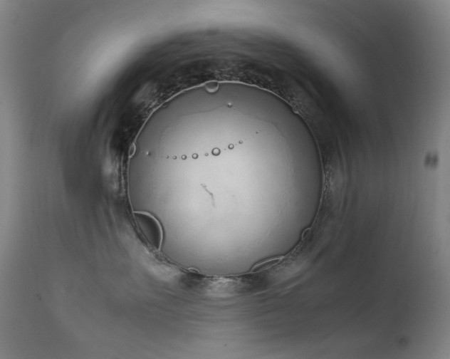X0000111920527200907271252