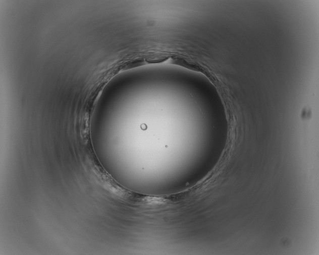 X0000111920528200907271252