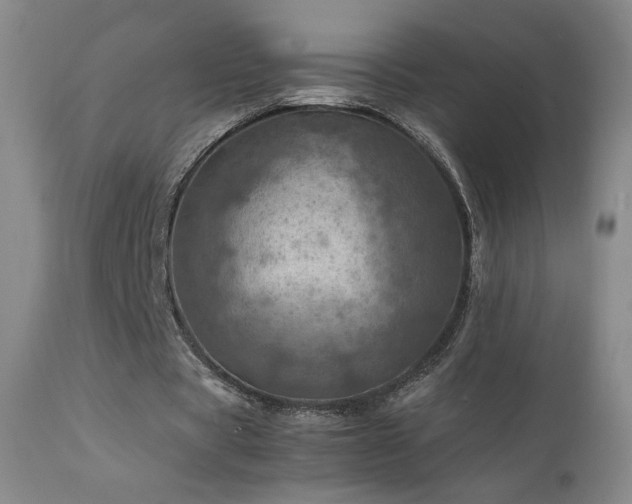 X0000111920529200907271251