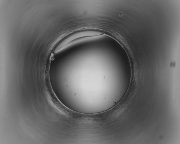 X0000111920530200907271251