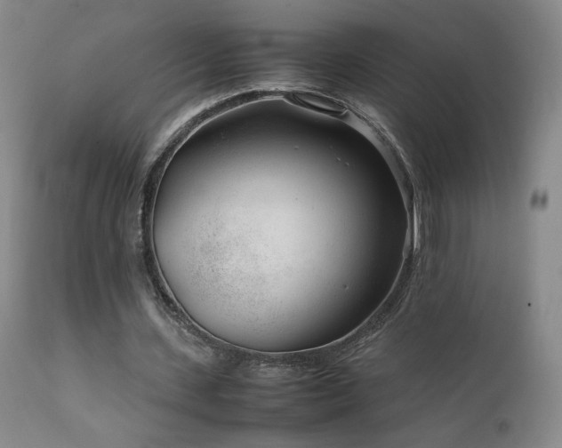 X0000111920531200907271251