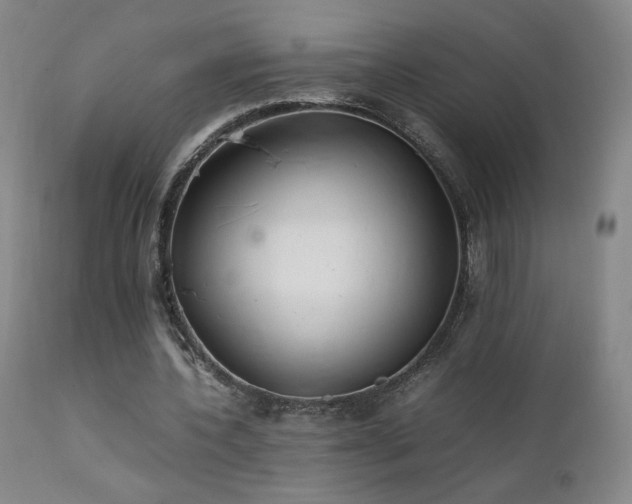X0000111920532200907271251