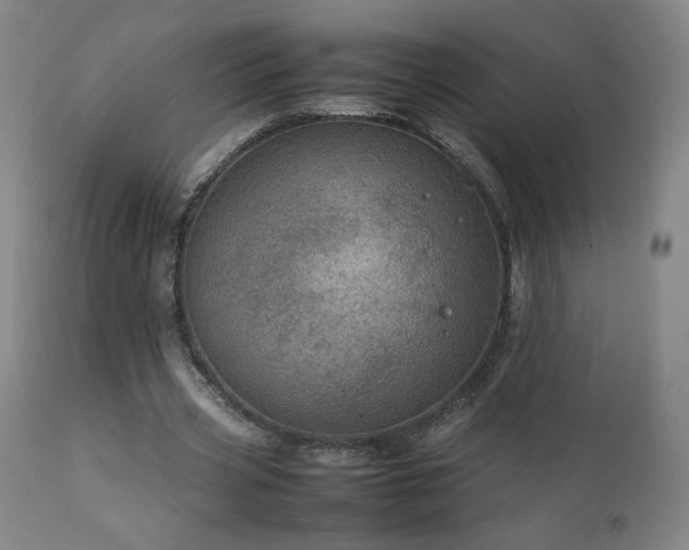 X0000111920533200907271251