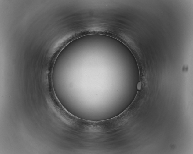 X0000111920535200907271251
