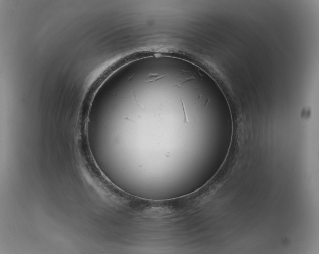 X0000111920536200907271251