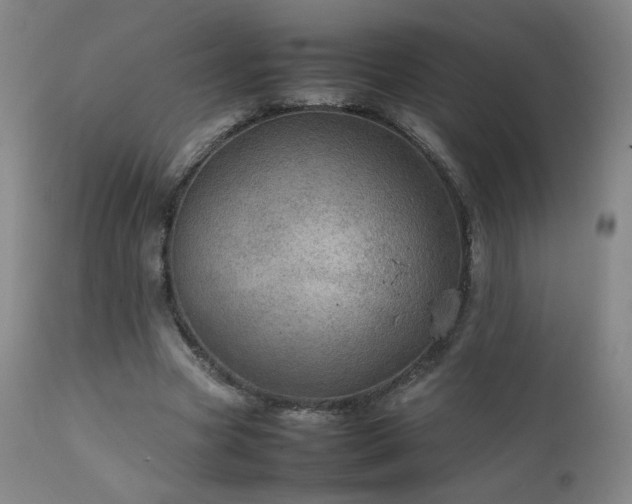 X0000111920537200907271251
