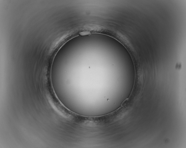 X0000111920538200907271251