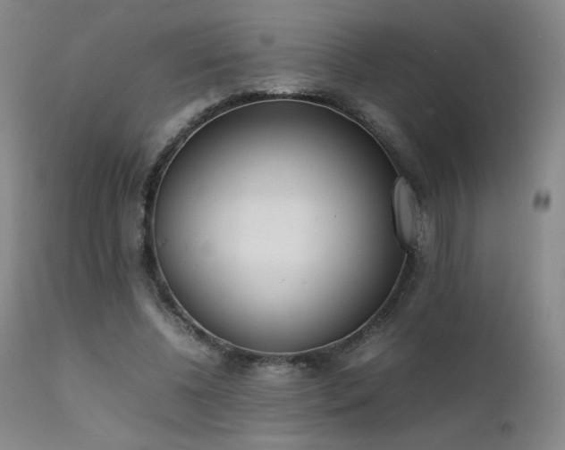 X0000111920540200907271251