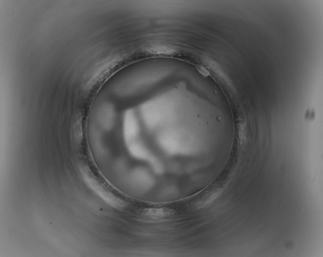 X0000111920541200907271251