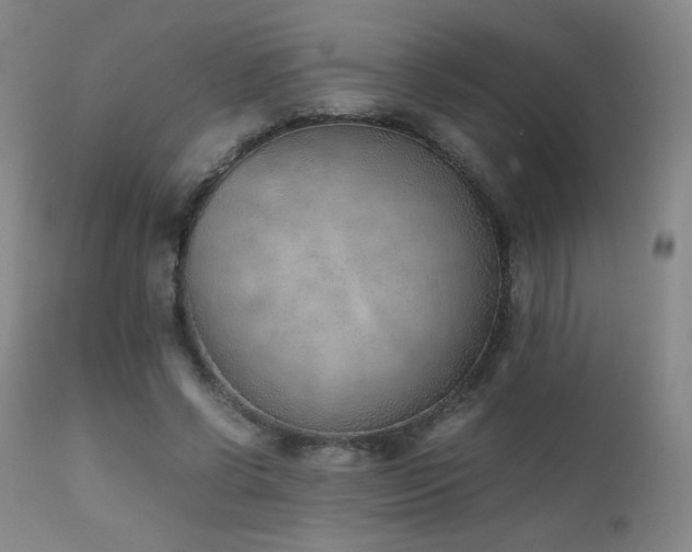 X0000111920542200907271251