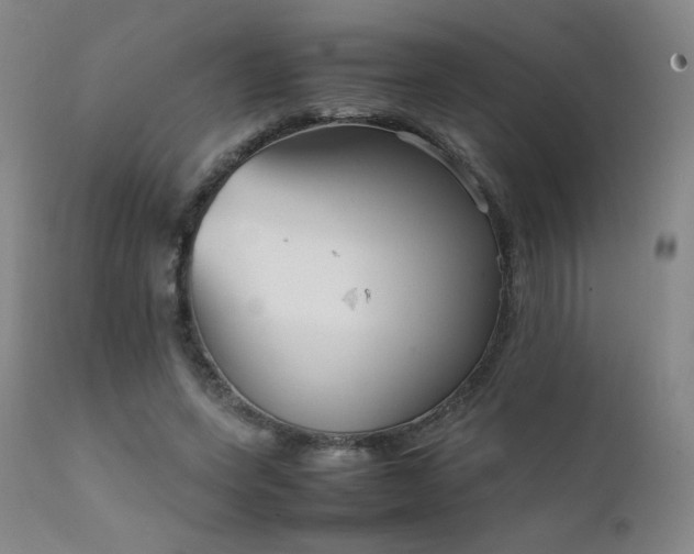 X0000111920543200907271251
