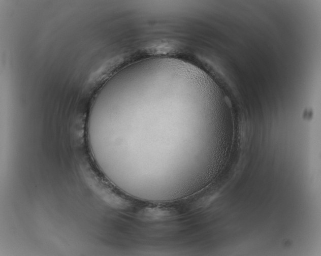 X0000111920545200907271251