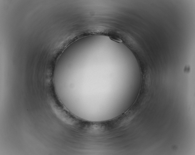 X0000111920546200907271251