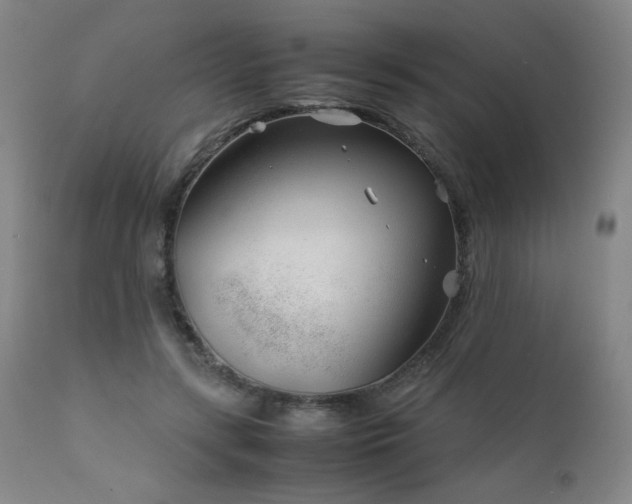 X0000111920547200907271251