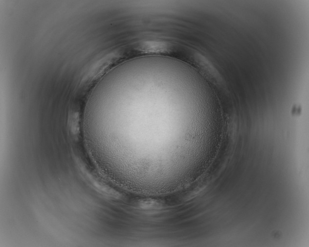 X0000111920549200907271251