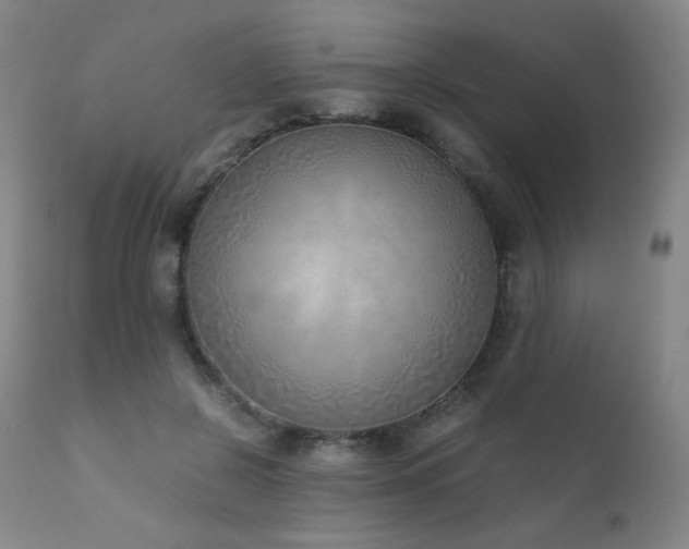 X0000111920550200907271251