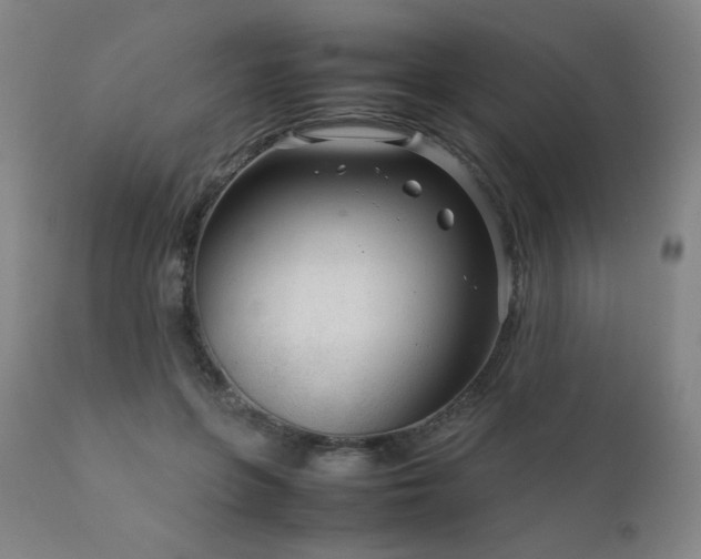 X0000111920551200907271251
