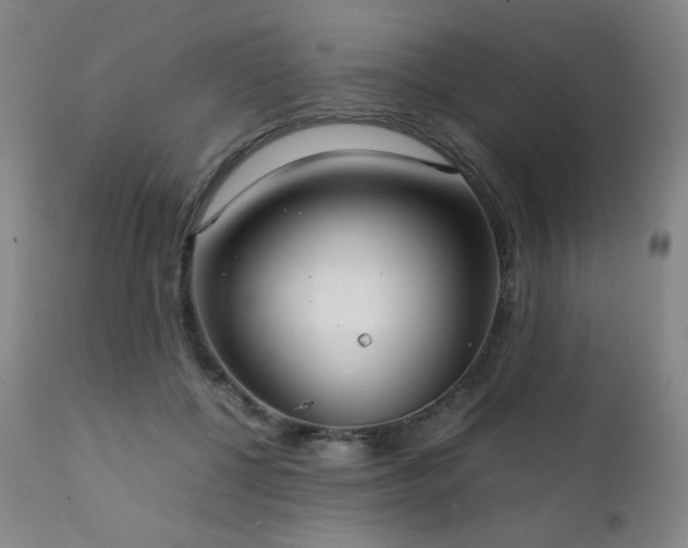 X0000111920552200907271251
