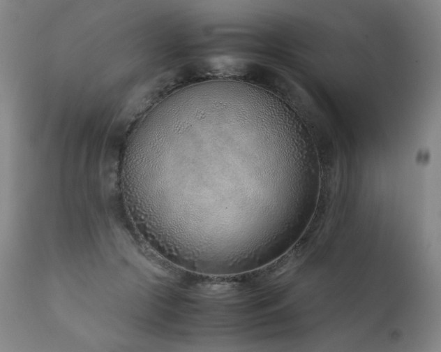 X0000111920553200907271251