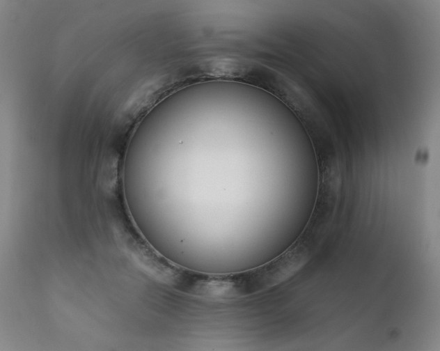 X0000111920554200907271251