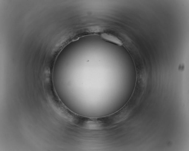 X0000111920556200907271251