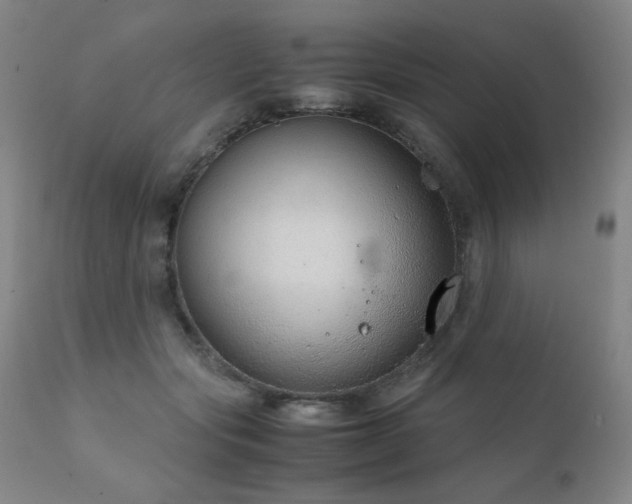 X0000111920557200907271251