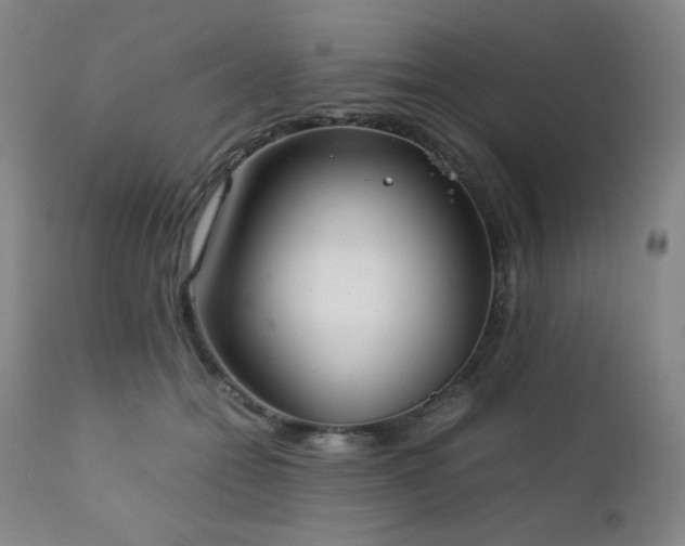 X0000111920558200907271251