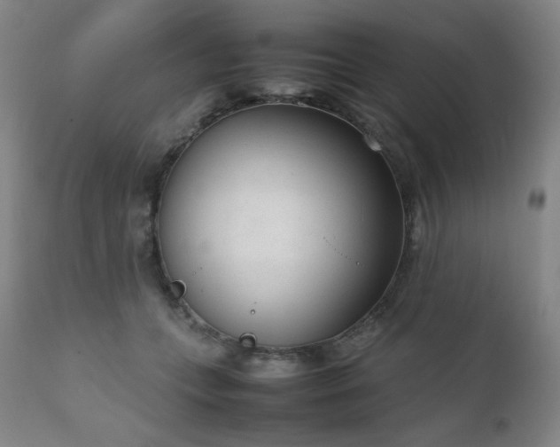 X0000111920559200907271251