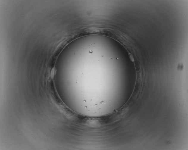 X0000111920560200907271251