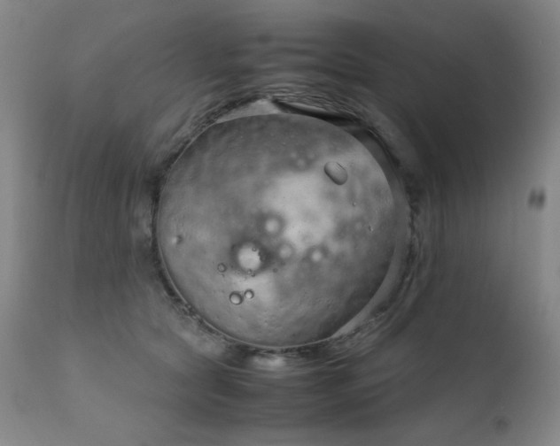 X0000111920561200907271251