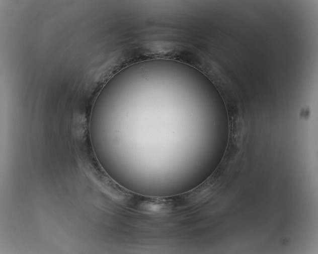 X0000111920563200907271251