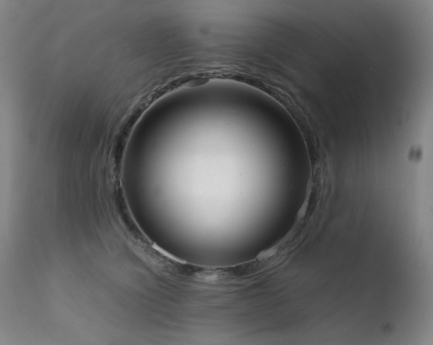 X0000111920564200907271251