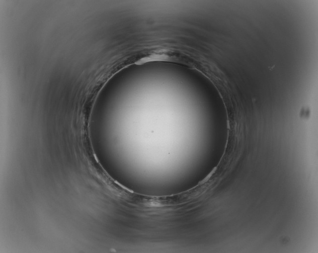 X0000111920565200907271251
