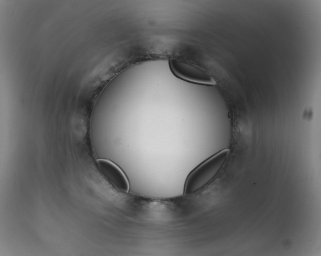 X0000111920566200907271251