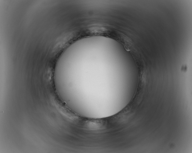 X0000111920567200907271251