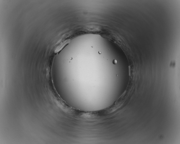 X0000111920568200907271252
