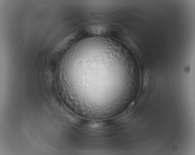 X0000111920569200907271252