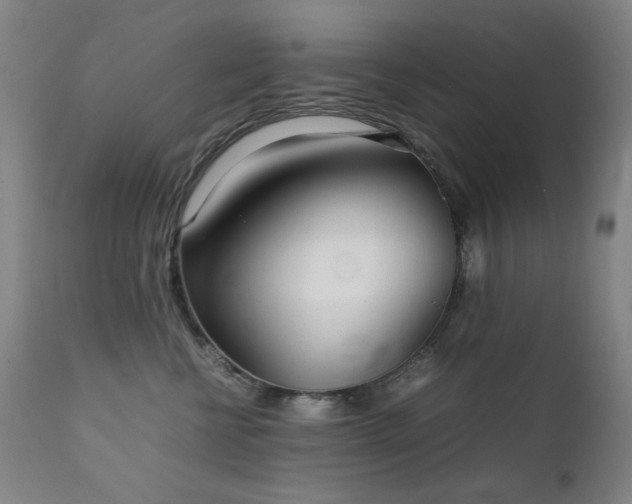 X0000111920570200907271252
