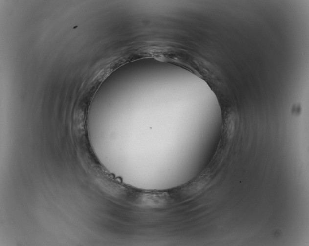 X0000111920571200907271252