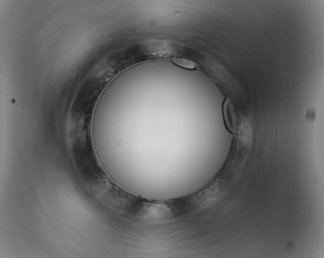 X0000111920572200907271252
