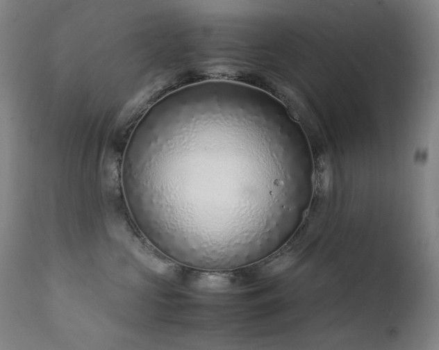 X0000111920573200907271252