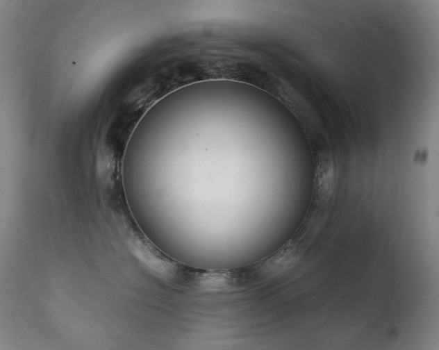 X0000111920574200907271252
