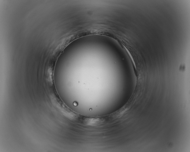 X0000111920575200907271252