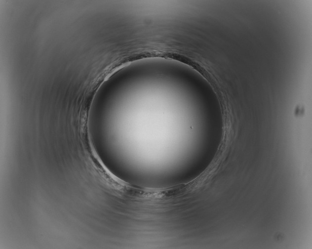 X0000111920576200907271252
